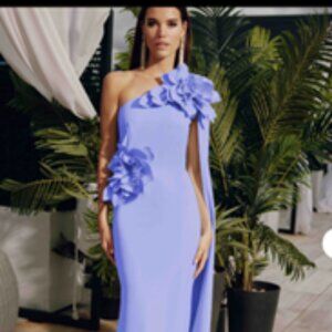 Showstopping FRASCARA MOB Gown - Perfect for destination weddings!